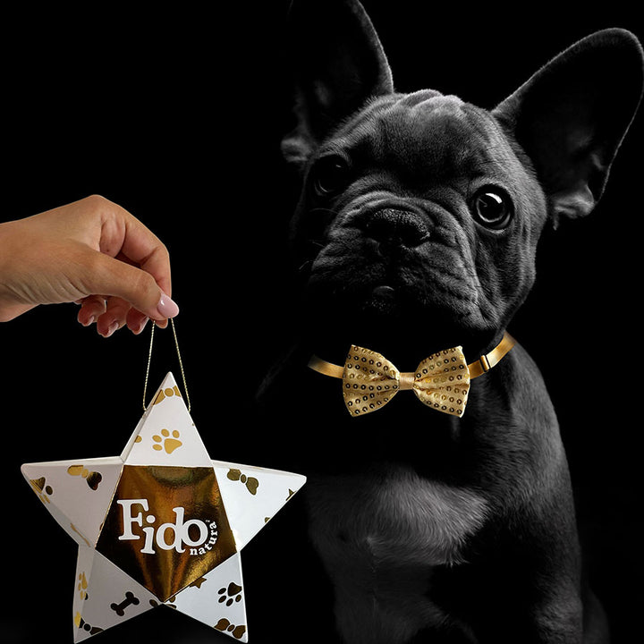 Stella contenente Profumo e Papillon